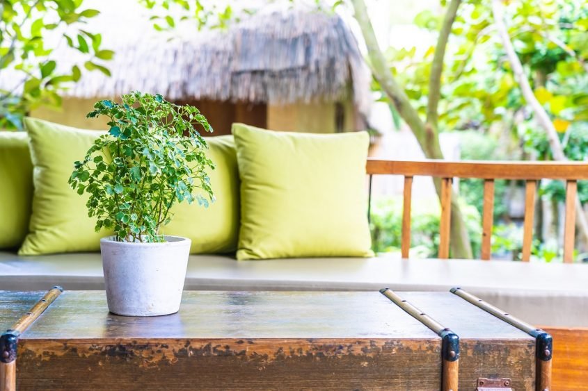 Como decorar varanda com plantas? Itens indispensáveis